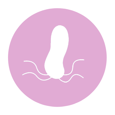 pylori
